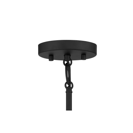 Canopy - CL